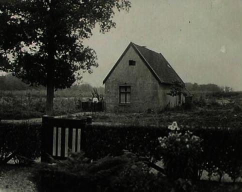 mainimage