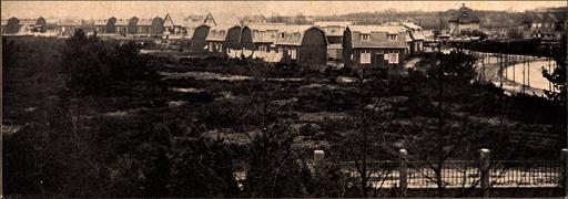 mainimage