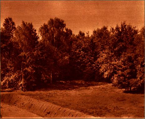 mainimage