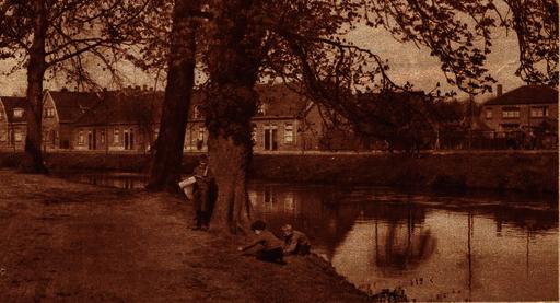 mainimage