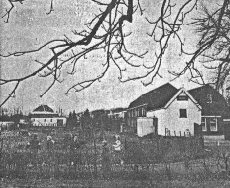 mainimage